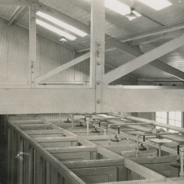 The bathing block