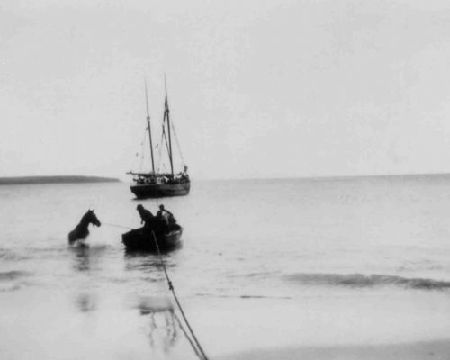 Swimming a horse between a ketch and shore